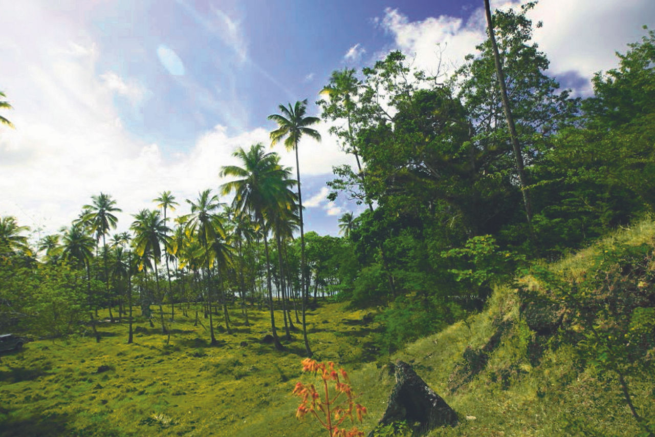 Beachfront Land for Sale Saint Lucia