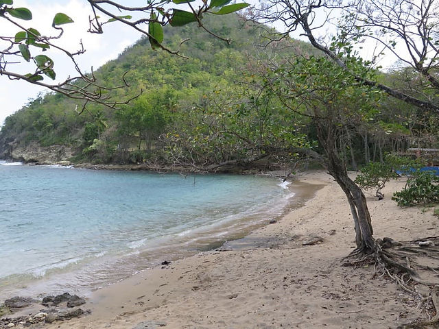 Beachfront Land for Sale Saint Lucia 