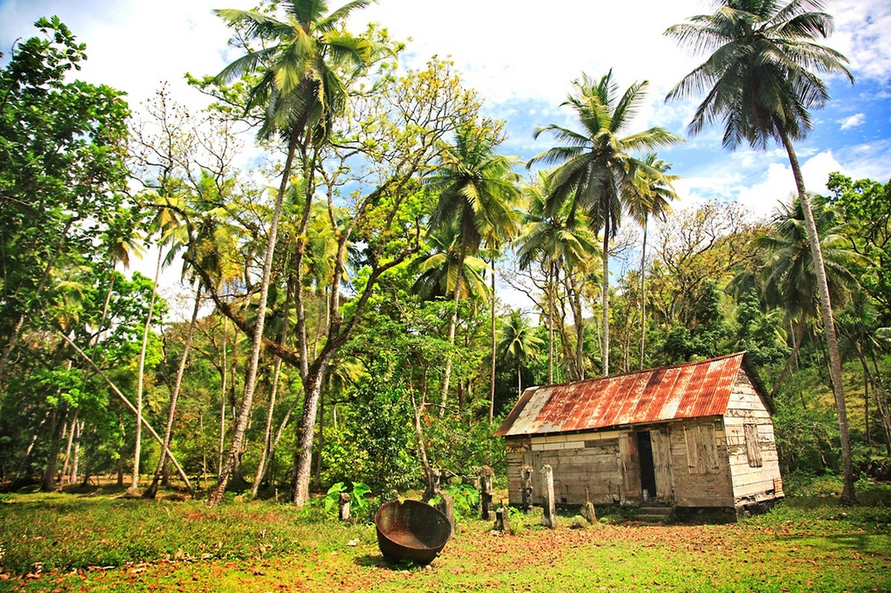 Beachfront Land for Sale Saint Lucia