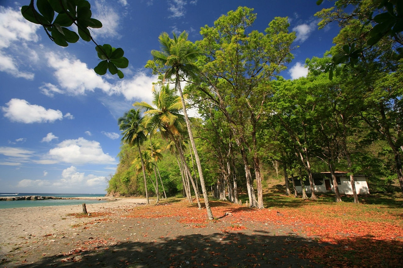 Beachfront Land for Sale Saint Lucia