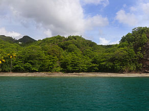 LC - Anse La Verdure Beachfront Land for sale Saint Lucia - 1104