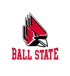 College logo