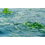 Miniaturbild: EisenSpirulina Spirulina platensis Mikroalgen Sanatur