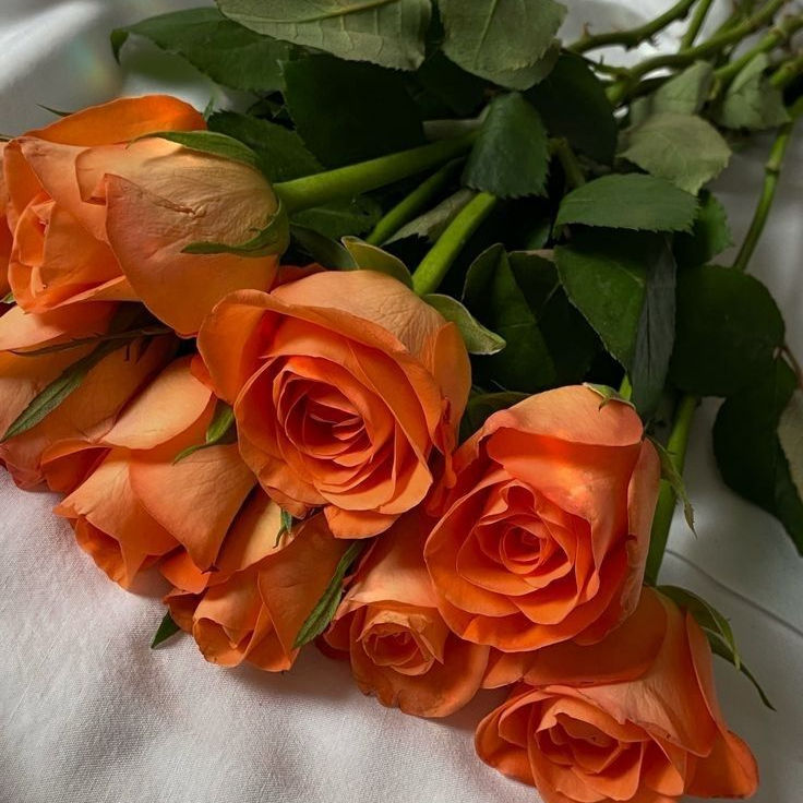 Thumbnail: Roses By Stem