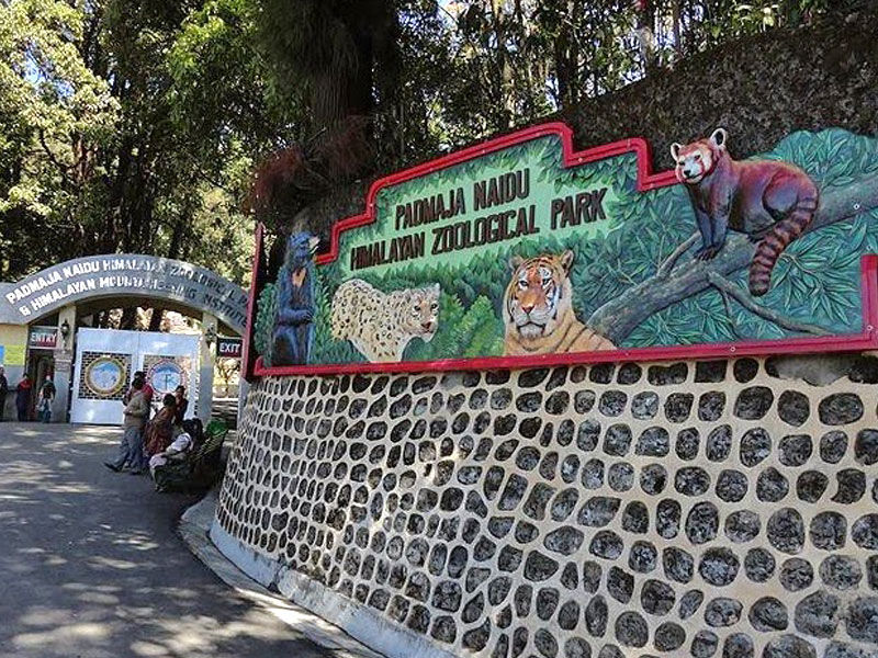 dar_zoo.jpg