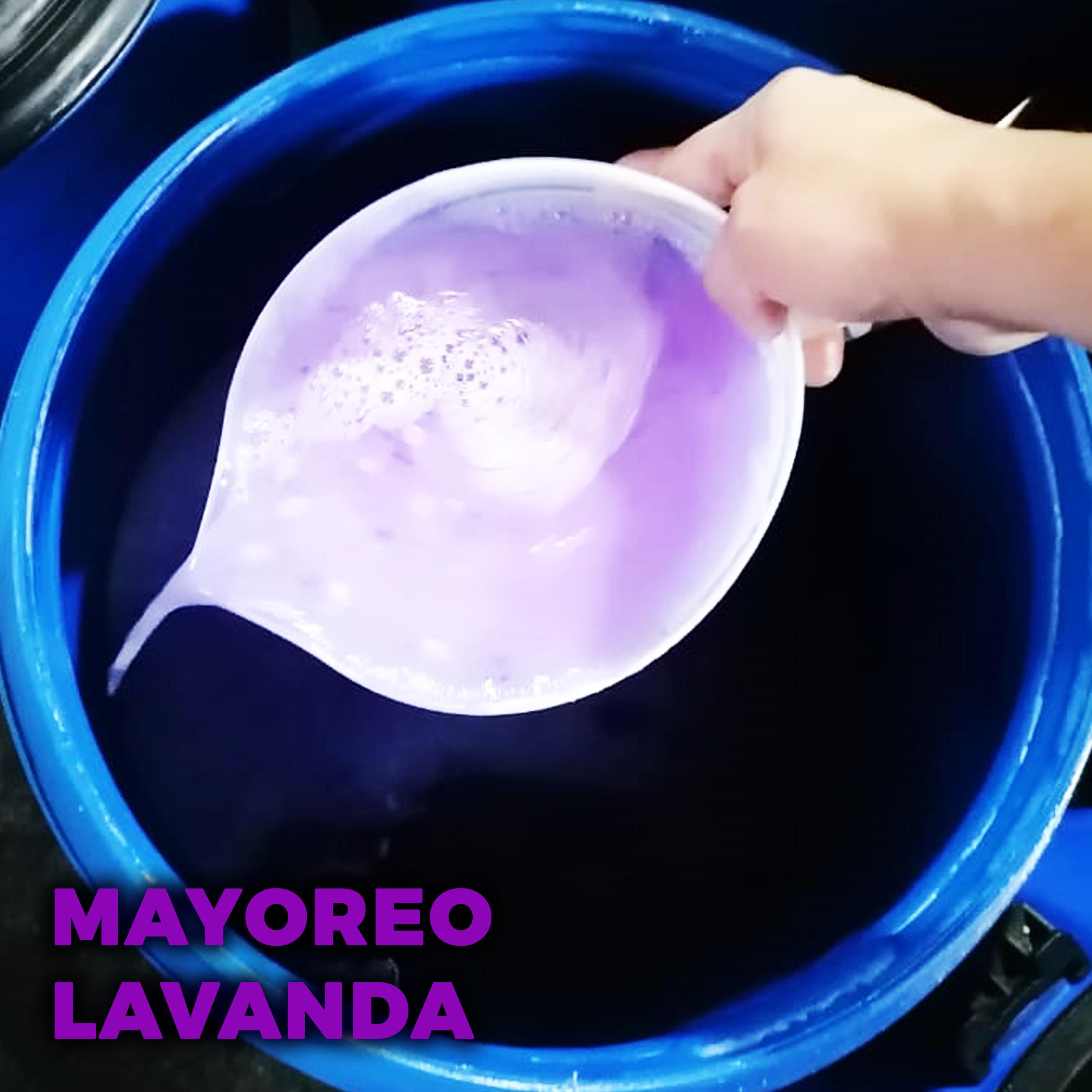 FABULO LAVANDA MAYOREO