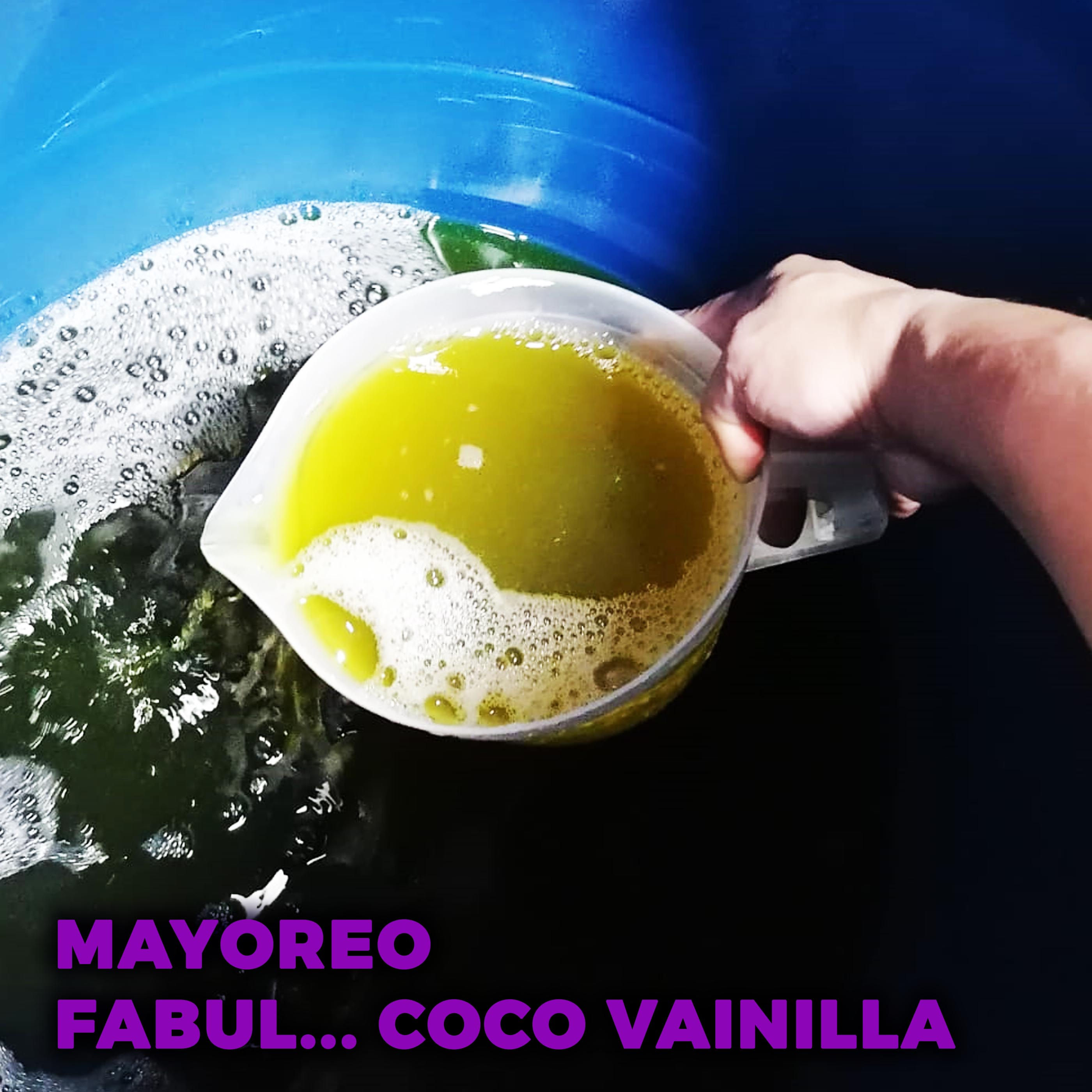 FABUL COCO VAINILLA MAYOREO