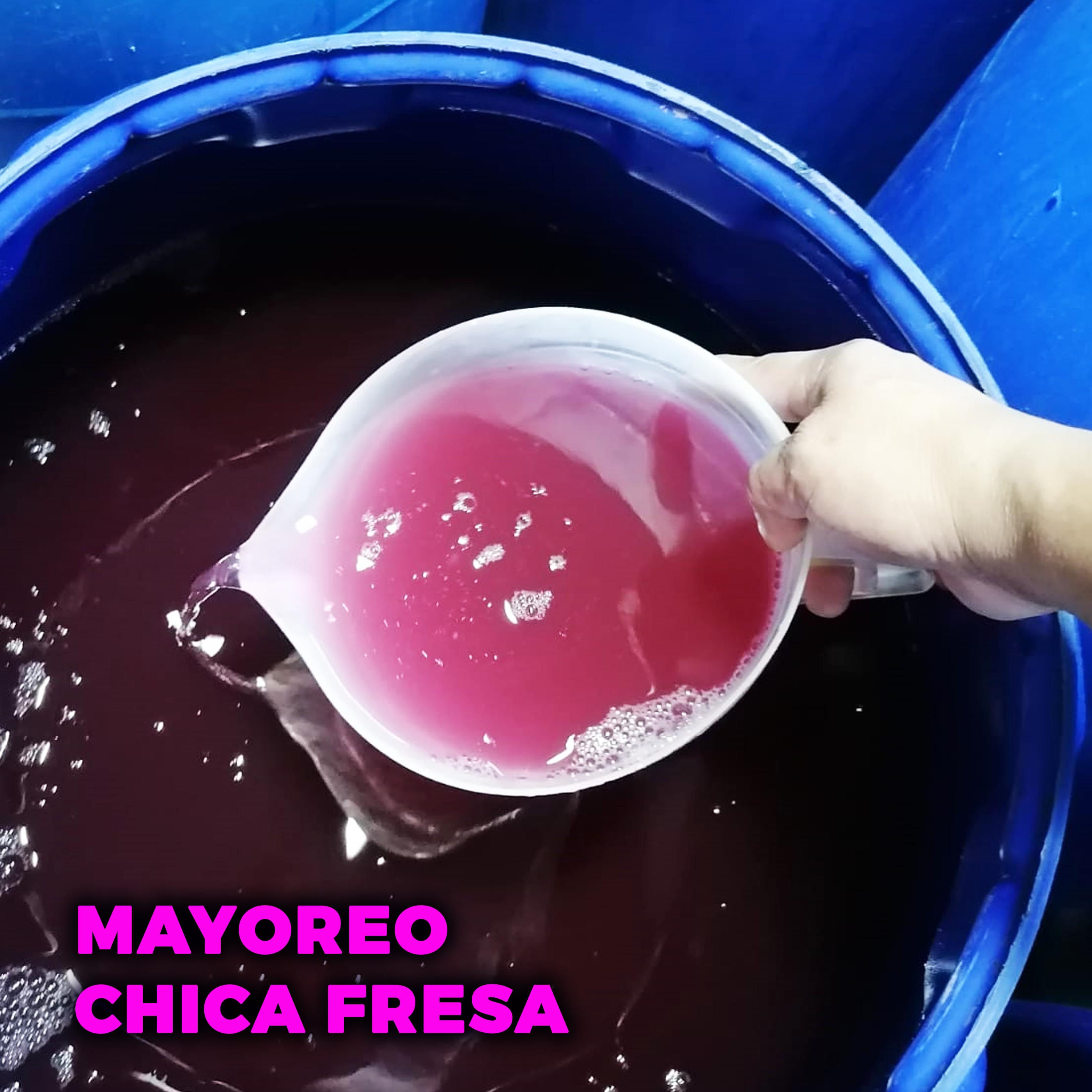 CHICA FRESA MAYOREO