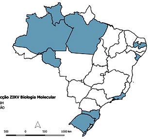 mapa.png