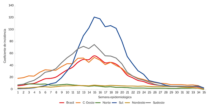 DENGUE 2023.png