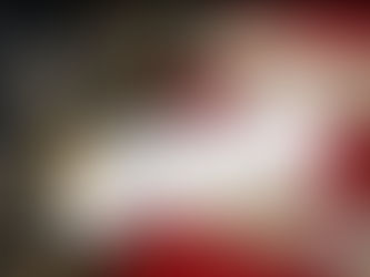 No, Bob—The Constitution Doesn’t Stop at Citizenship