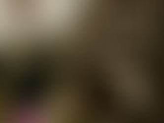 Florida’s New “Death-by-Immigrant” Bill: Local Governments on the Hook for Undocumented Crime