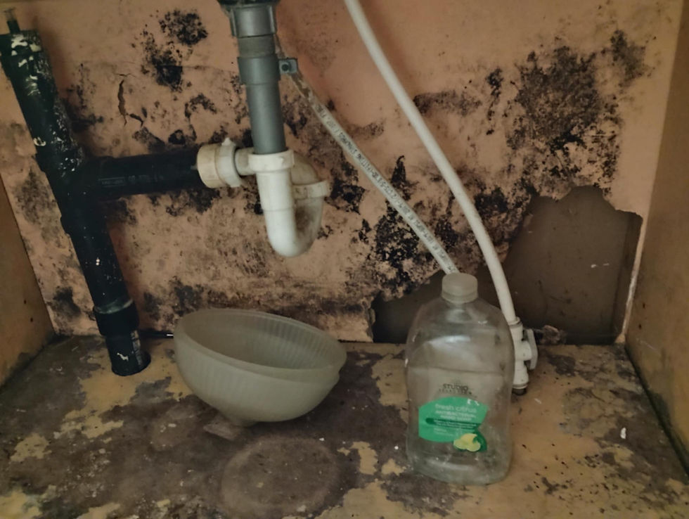 How Mass Deportation Threats Are Fueling Exploitation of Mixed-Status Families