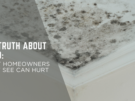 “The Truth About Mold: What Homeowners Can’t See Can Hurt Them”