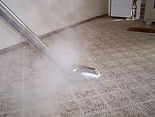 steam clean carpet