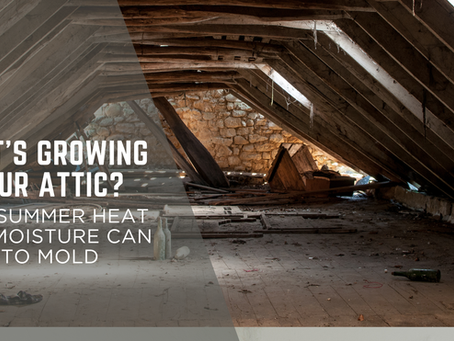 What’s Growing in Your Attic? Why Summer Heat and Moisture Can Lead to Mold