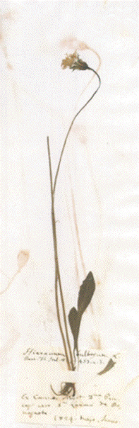 image007.gif