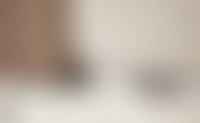 QUELLES SONT LES FOURMIS NUISIBLES AU QUÉBEC?