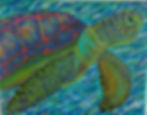 SEA TURTLE V - Kennedy, Elizabeth Anne