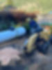 Stump Grinding