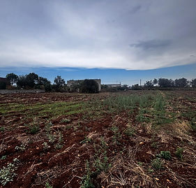 WhatsApp Image 2026-03-08 at 22.23.41.jpeg