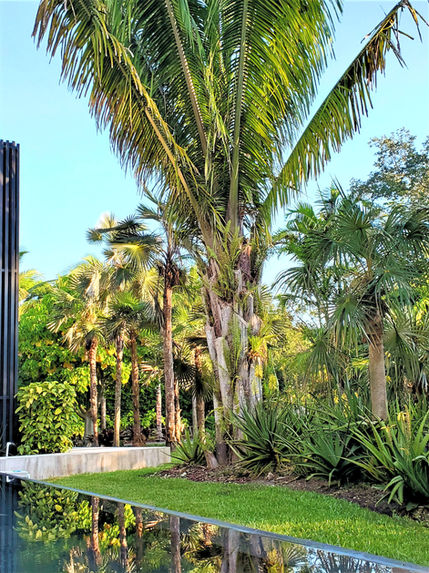 Landscape Architectural Design by HS2G for Pinecrest Miami mansion sold to Heat Star Tyler Herro