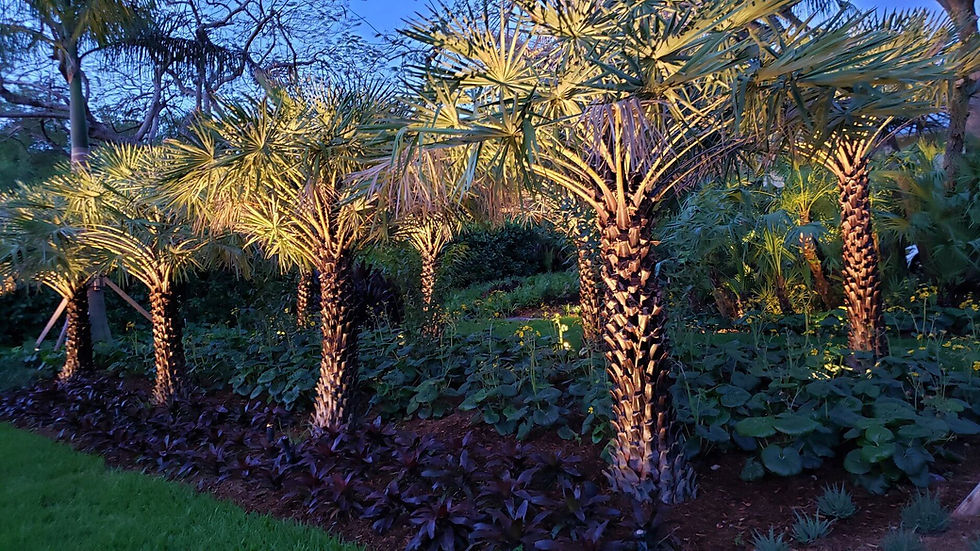 Eye-level view of a modern Miami villa with subtle LED pathway lighting