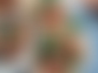 Mexican Shrimp Cocktail