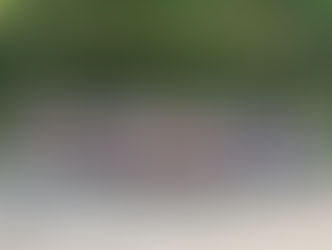 Promocja książki w Psarach