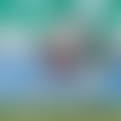 Fluminense tem bom retrospecto recente contra o Palmeiras, mas jamais venceu no Allianz