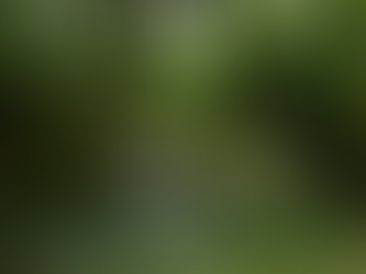 Guapimirim apresenta plano de manejo para implantação do Parque Municipal das Águas