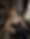 Gemini_Generated_Image_gunpmwgunpmwgunp.png