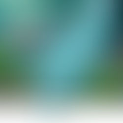【醫健未來自然診所】麗珠蘭在紅什麼？PDRN深度解析與效果說明