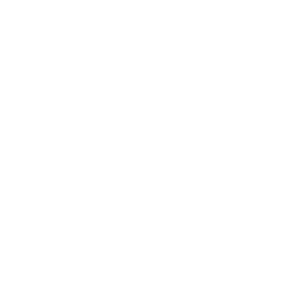 emotional-support-white-256.png