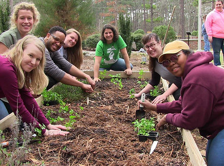 agents-service-project.jpg