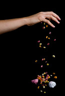 sweetstand (198 of 256).jpg