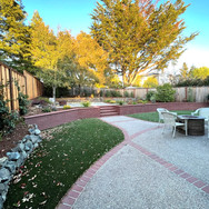 back yard 1.JPEG