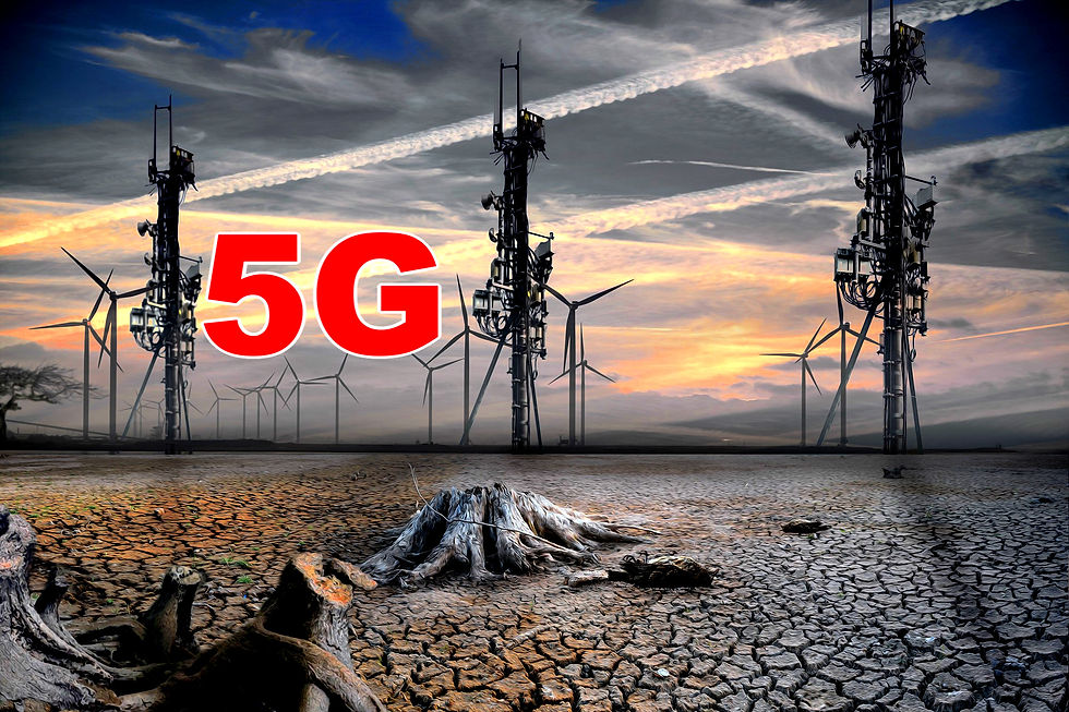 ОТРАВЛЕНИЕ РАДИАЦИЕЙ МЕДЛЕННАЯ СМЕРТЬ ВСЕГО ЖИВОГО