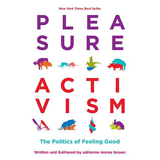 pleasure activism.jpeg