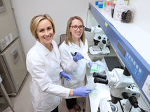 Fertility Preservation Research Featured in Discovery Spring 2017