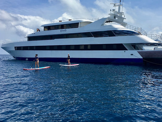 Paddleboard_cr.jpg