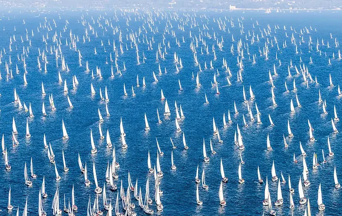 Barcolana 1.jpg
