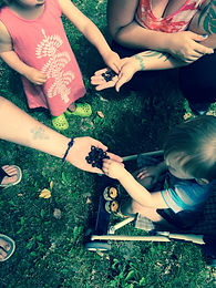 Crawlers, Waddlers and Toddlers