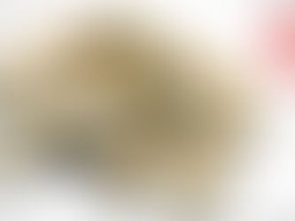 NOZ DA ÍNDIA EMAGRECE?