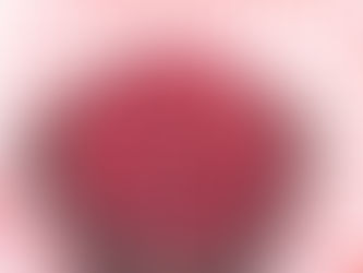 Feijão azuki e seus benefícios