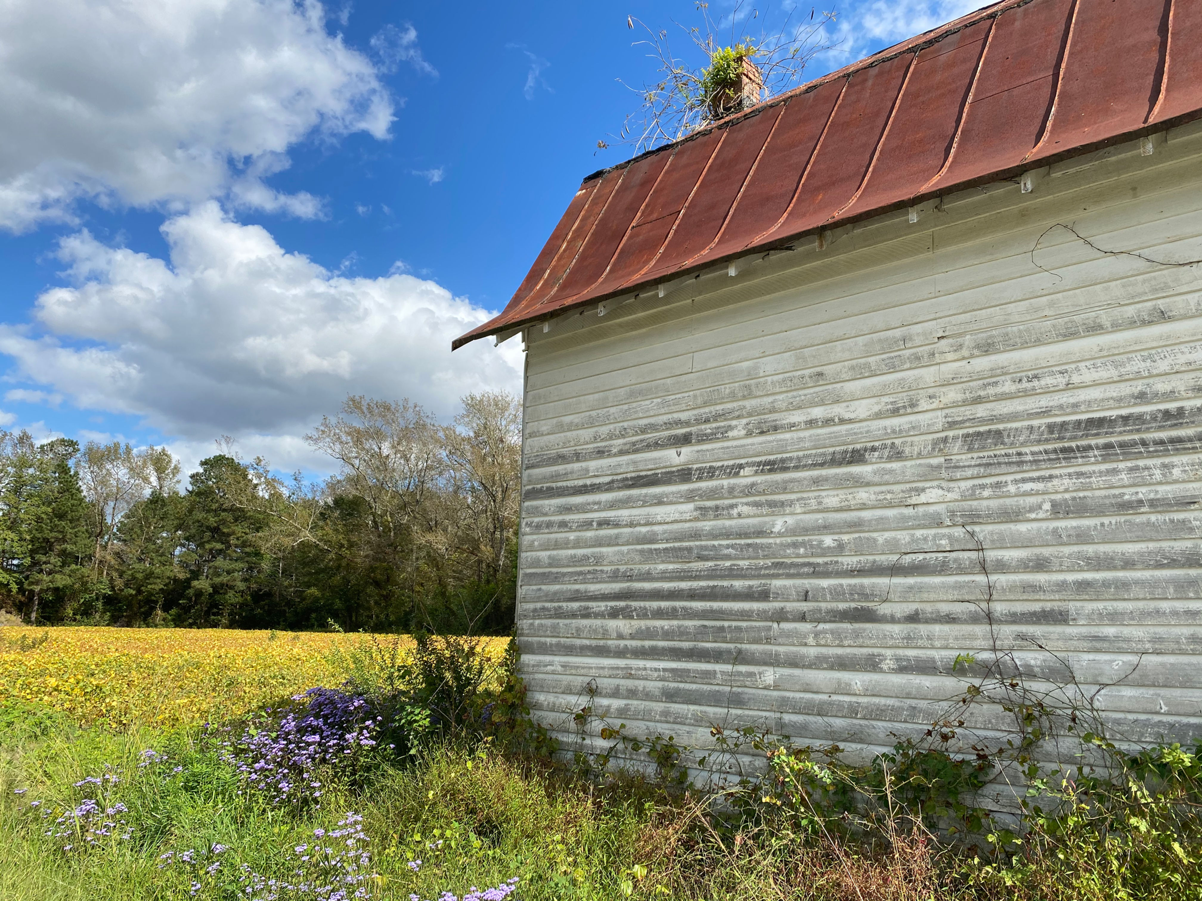 Photography: Landscapes