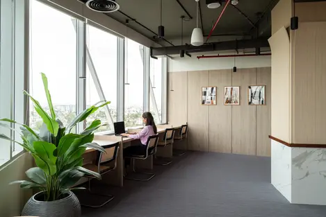 Copy of YJP-WEZ-10.webp