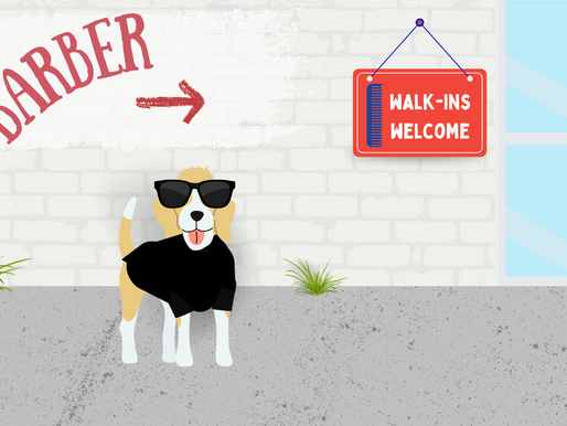 Dog In Sunglasses Hanging Outside Barber Shop Must Be The Fonzie Of Town