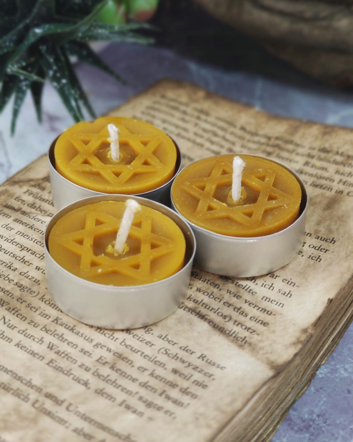 Teelicht Davidstern | Bienenwachs |  Natur 