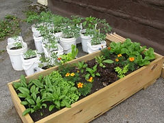 garden box.jpeg